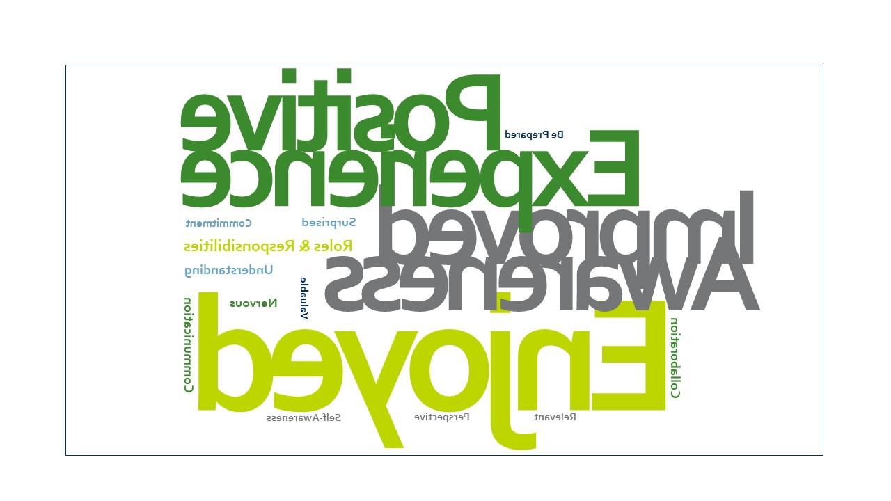 Word Cloud IPE